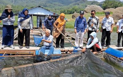 Dalam Rangka Lestarikan Sumber Daya Ikan di Waduk Wadaslintang, Tim Pengabdian Departemen Sumber Daya Akuatik Lakukan Resctoking Ikan Lokal Air Tawar