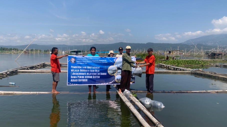 Langkah Nyata Prodi MSP Undip: Tebar Benih Nila Hitam di Danau Rawa Pening