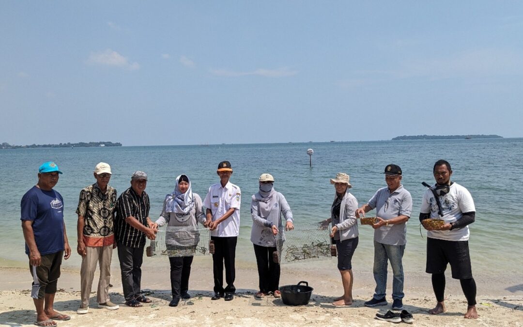 Departemen Sumber Daya Akuatik Undip Dorong Pelestarian Ekosistem Pesisir melalui Transplantasi Lamun di Pantai Prawean Jepara