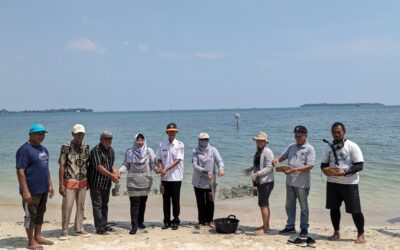Undip’s Department of Aquatic Resources Promotes Coastal Ecosystem Conservation through Seagrass Transplantation at Prawean Beach, Jepara